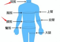 围度为什么腰围最容易掉 减肥体重不减反而长但是围度减小