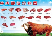 牛肉为什么没有肥肉 牛肉哪块部位没有肥肉