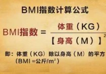 健身bmi值是什么 bmi指数在多少正常