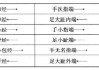 大腿外侧后侧是什么经络 大腿穴位对照表