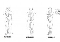 腿部外侧是什么经络 腿部的经络图解大全