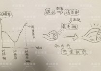 增肌粉什么时候吃好 增肌粉的最佳饮用时间