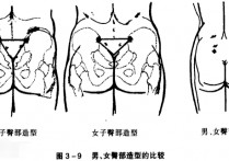 按摩的洗臀是什么样的 女性臀部按摩的好处