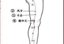 敲打胆经没什么会发黑 敲胆经能从下往上吗