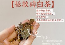 茶楂可以做什么 不可不知的茶渣妙用一定要收藏