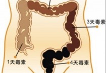 用什么方法可以清肠 清肠排毒排宿便