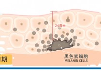 来月经晚上吃什么减肥吗 月经期间吃什么又补又减肥