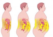 腹部脂肪在什么地方 人体脂肪是通过哪里排出的