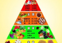 健康减肥的最好方法 颖儿20天瘦35斤的方法