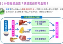 减肥容易得什么病 怎么正确的节食减肥