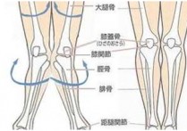 x腿型不治疗有什么效果 2岁半x型腿需要治疗吗