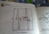 摆动屁股跑是什么运动 跑短跑要送髋吗