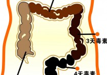 肠道排毒最好方法是什么 正确排宿便清肠毒最有效方法