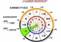 什么时候有氧运动排毒 人体排毒功能的最佳时间