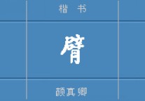 臂能组什么 臂怎么组词2个字