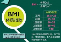 BMI为19.4是什么体型 体重与bmi的关系