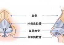 鼻子在什么情况下会瘦 徒手瘦鼻子的方法