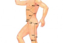 胆经不通做什么运动图 疏通经络最简单好用的方法