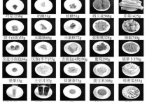 100千卡大约什么食物 300千卡相当于吃什么