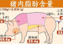 猪肉什么地方脂肪多 猪的哪个部位脂肪少