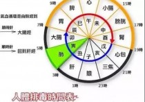 四五点是什么在排毒 3-5点是什么器官排毒