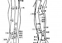 左手臂关节是什么穴位 人体穴位之精准位置图