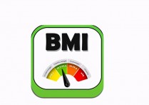 BMI 什么意思 bmi指数是多少正常值是多少