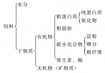 鸡脂肪作用是什么 鸡肉的营养表