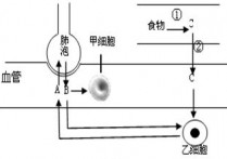 新陈代谢靠什么控制 新陈代谢最基本的特征如何理解