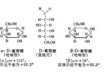 什么糖可以转换成脂肪 糖转化为脂肪需要什么