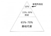 基础代谢高了有什么危害 新陈代谢乱了有什么危害吗