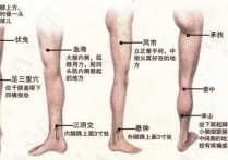 瘦腿工具有什么 男生瘦腿最有效的方法图解