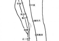 胆经在什么位置 人体的胆经位置图