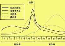 例假黄金期是什么时候 女性绝经期是提前好还是推迟好